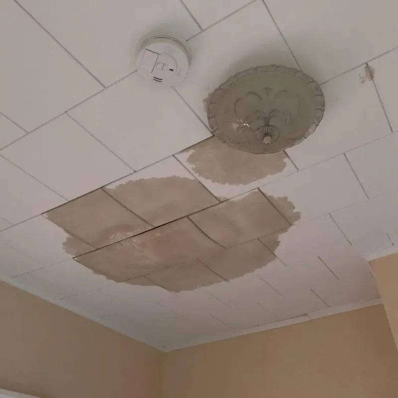 Ceiling Water Damage Repair in The Village of Indian Hill, OH