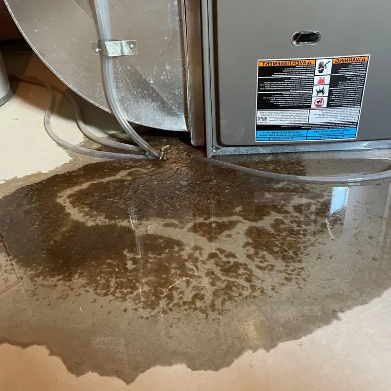 Pipe Burst and Leak Restoration in The Village of Indian Hill, OH